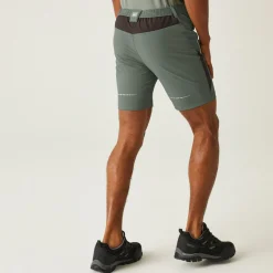 Regatta Mountain II Homme Short de marche |<Homme Shorts