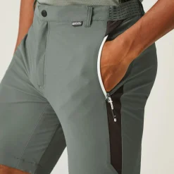 Regatta Mountain II Homme Short de marche |<Homme Shorts