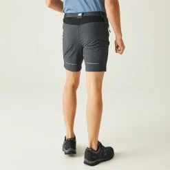 Regatta Mountain II Homme Short de marche |<Homme Shorts