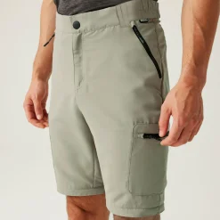 Regatta Pantalon de marche modulable Leesville III pour homme |<Homme Pantalons Zippés|Pantalons De Marche