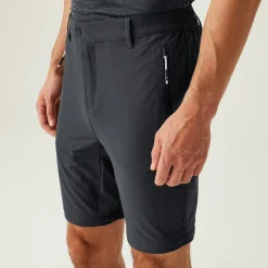 Regatta Pantalon de marche modulable Highton II pour homme |<Homme Pantalons Zippés|Pantalons De Marche