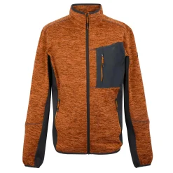 Regatta Polaire zippée Baslinn pour homme |<Homme Polaires Zip Complet