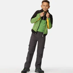 Regatta Prenton II Enfant Veste softshell |<Enfant Vêtements Garçon|Vestes Softshell