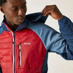 Regatta Pro Homme Veste hybride |<Homme Vestes Isolantes|Vestes Hybrides