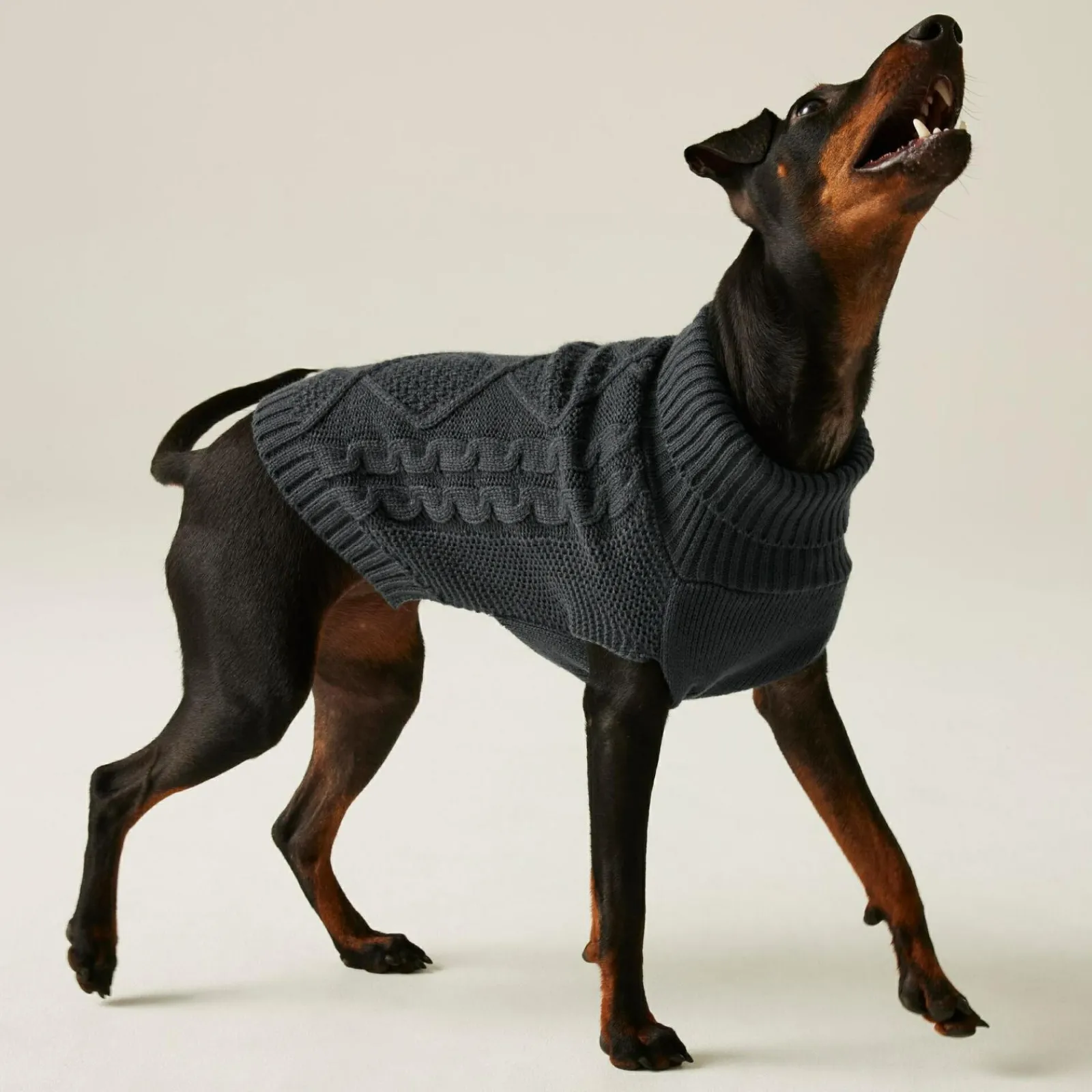 Regatta Pull pour chien en maille |< Manteaux Pour Chiens