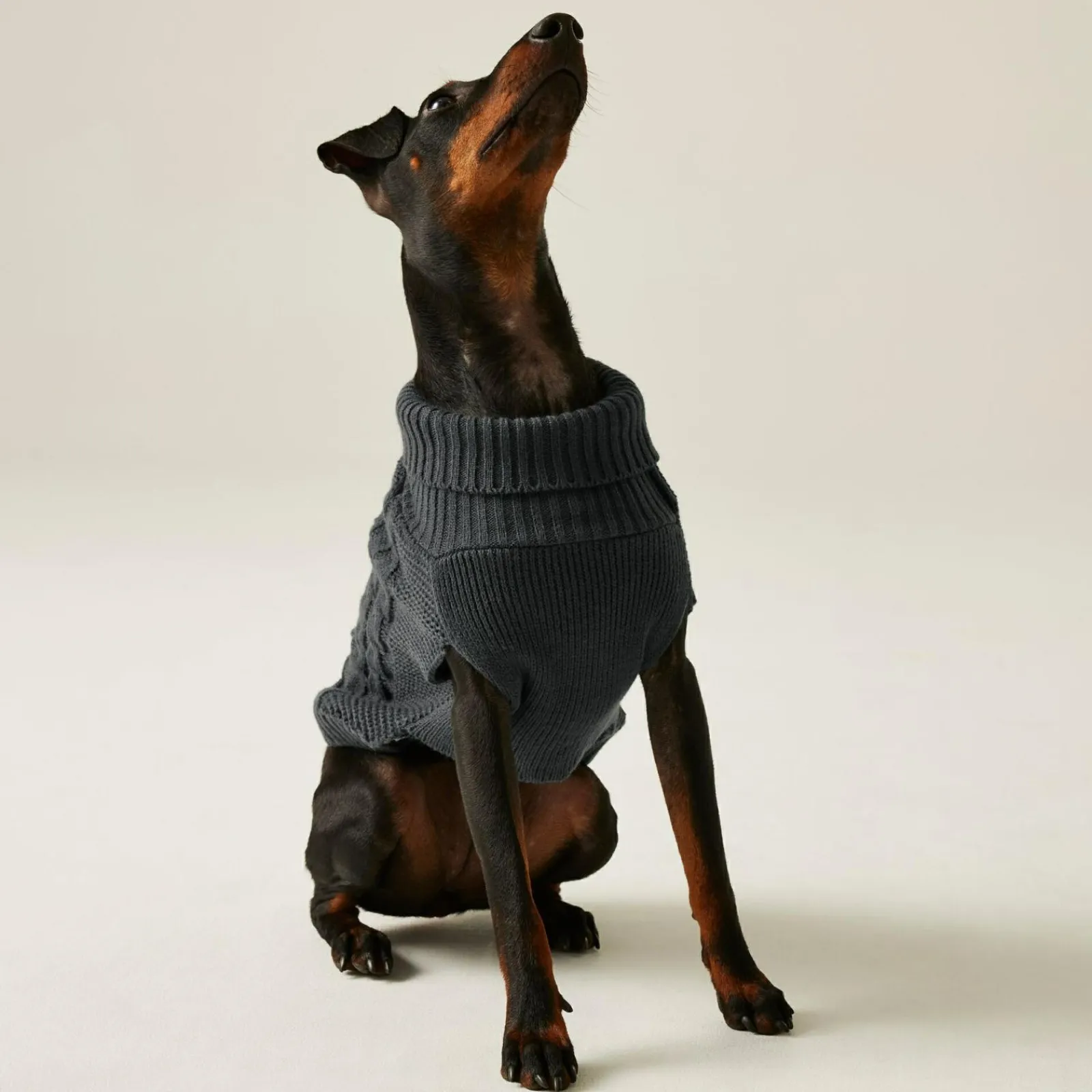 Regatta Pull pour chien en maille |< Manteaux Pour Chiens