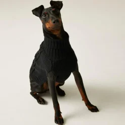 Regatta Pull pour chien en maille |< Manteaux Pour Chiens