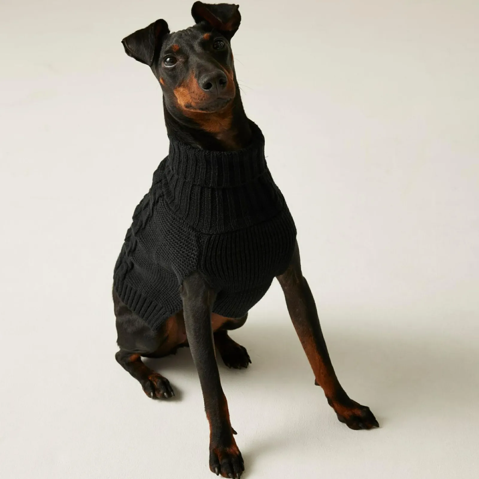 Regatta Pull pour chien en maille |< Manteaux Pour Chiens