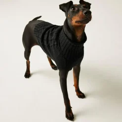Regatta Pull pour chien en maille |< Manteaux Pour Chiens