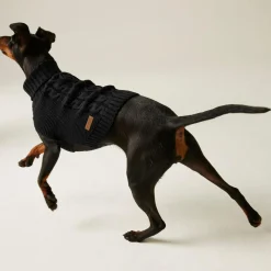 Regatta Pull pour chien en maille |< Manteaux Pour Chiens