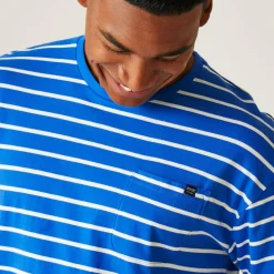 Regatta Shorebay Tee II Homme T-shirt |<Homme/Femme T-Shirts