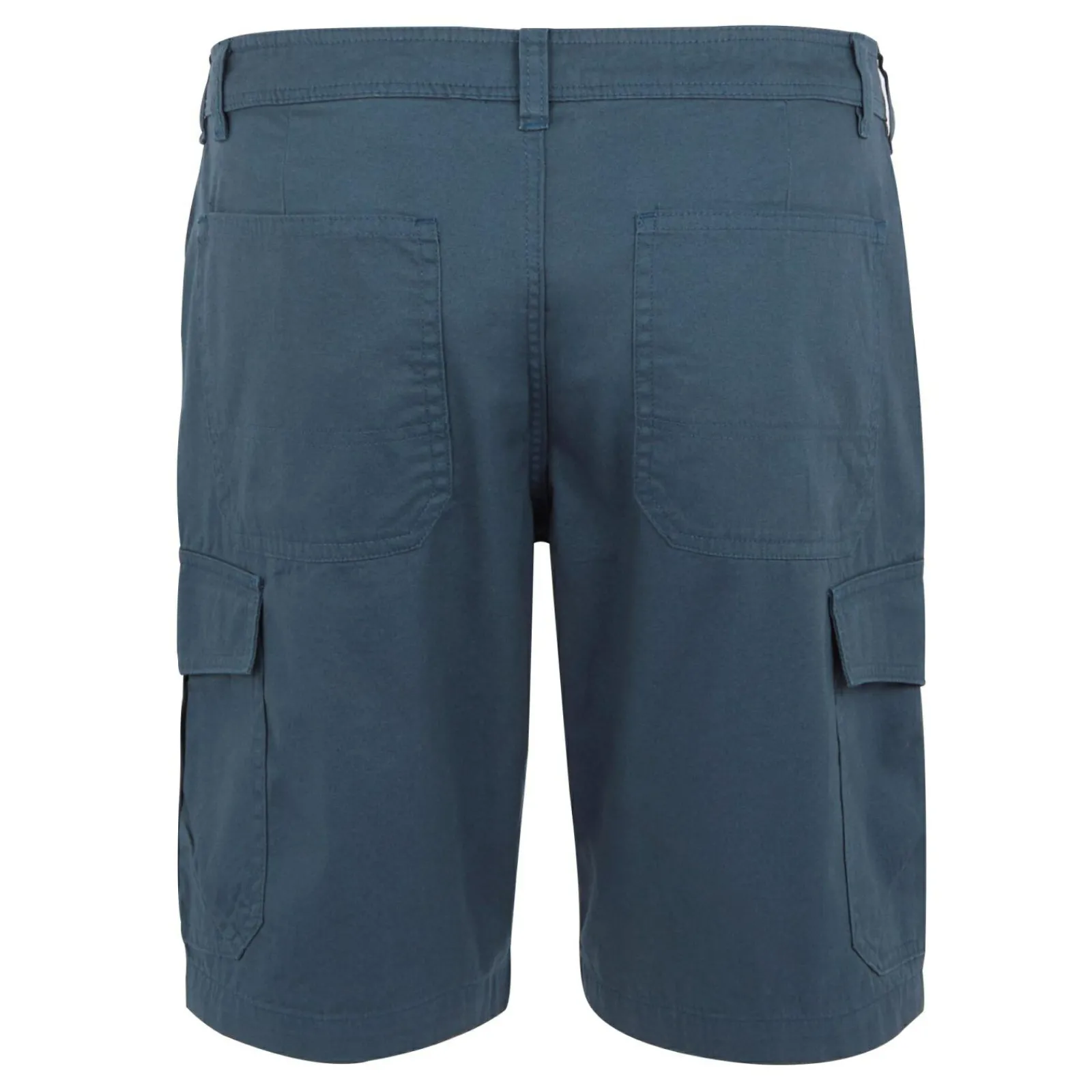 Regatta Short décontracté Ruwan pour hommes |<Homme Shorts