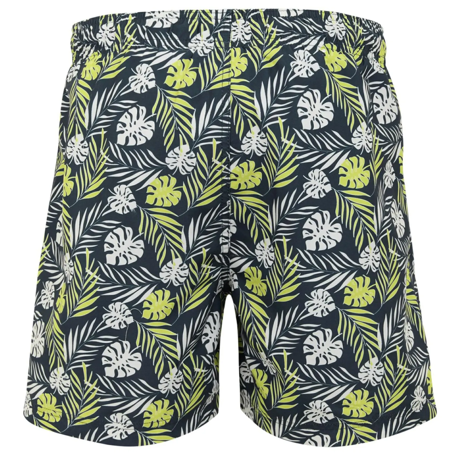 Regatta Short de bain Homme Loras |<Homme Shorts