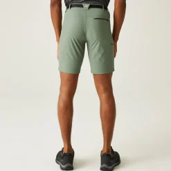 Regatta Short Homme extensible stretch XERT III |<Homme Shorts