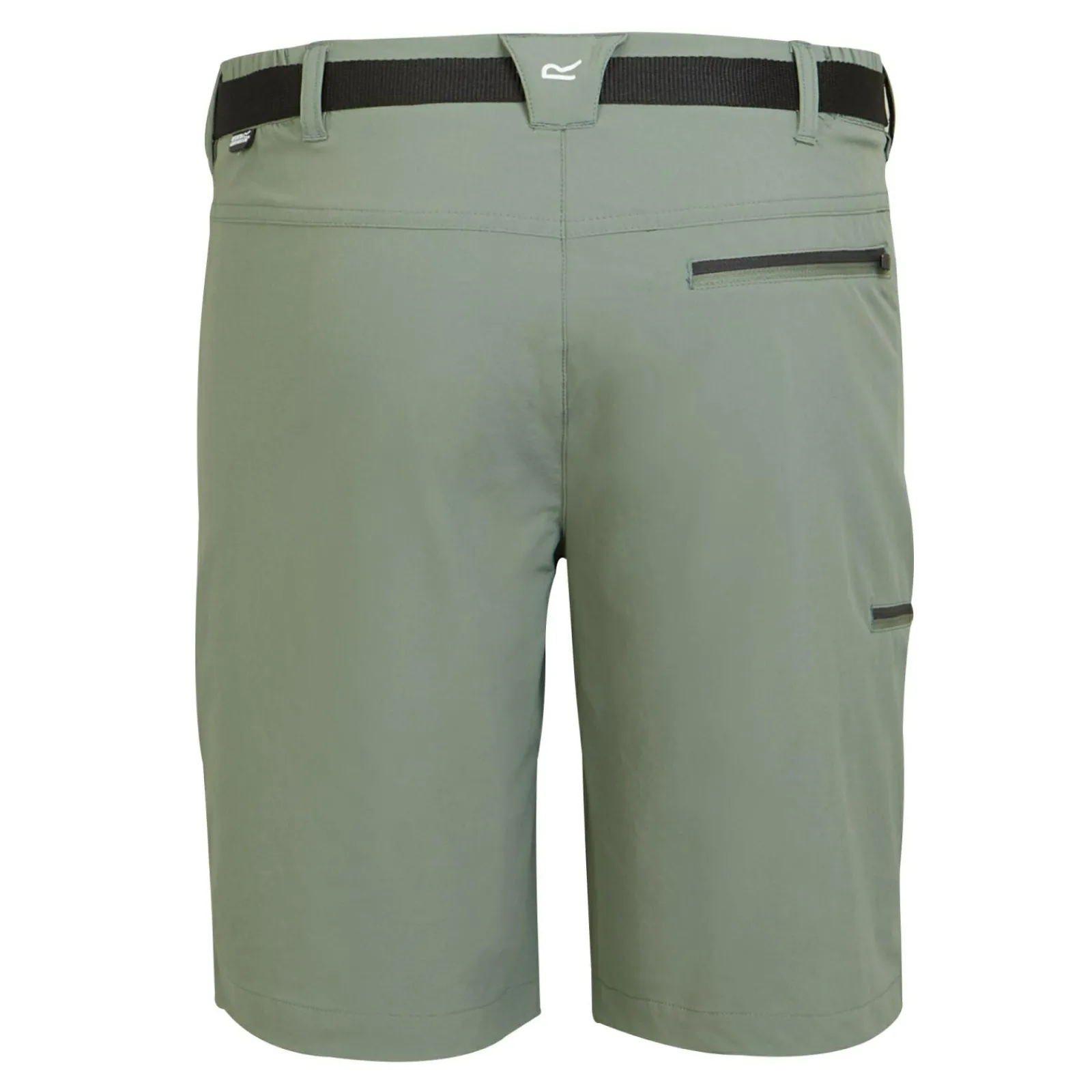 Regatta Short Homme extensible stretch XERT III |<Homme Shorts