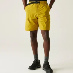 Regatta Short Mallen pour homme |<Homme Shorts