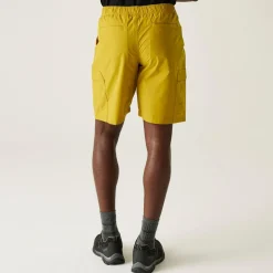 Regatta Short Mallen pour homme |<Homme Shorts
