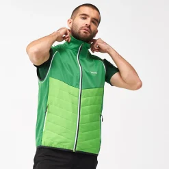 Regatta Steren Homme Veste hybride softshell |<Homme Vestes Hybrides|Vestes Softshell