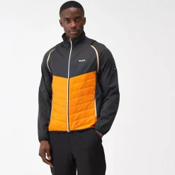 Regatta Steren Homme Veste hybride softshell |<Homme Vestes Hybrides|Vestes Softshell