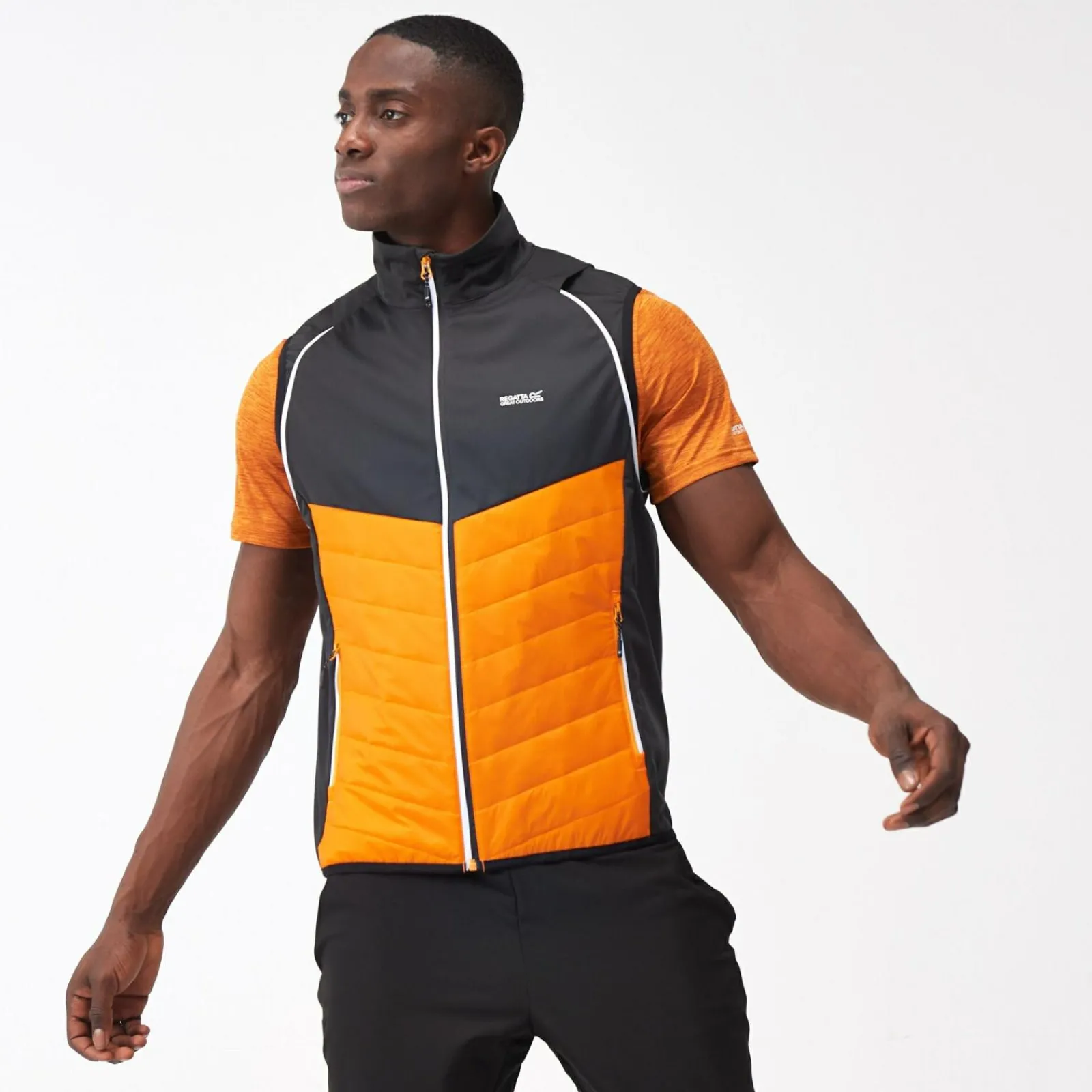 Regatta Steren Homme Veste hybride softshell |<Homme Vestes Hybrides|Vestes Softshell