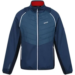 Regatta Steren Hybrid II Homme Veste softshell |<Homme Vestes Hybrides|Vestes Softshell