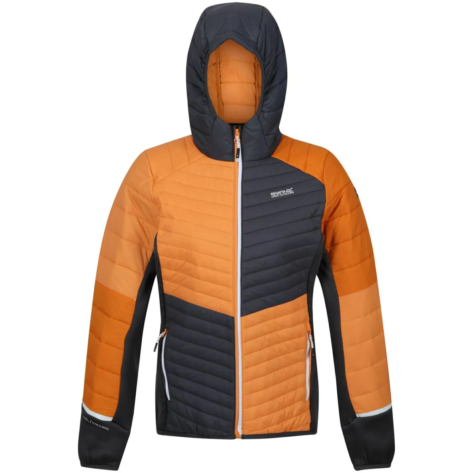 Regatta Trutton II Femme Veste baffled |<Femme Doudounes