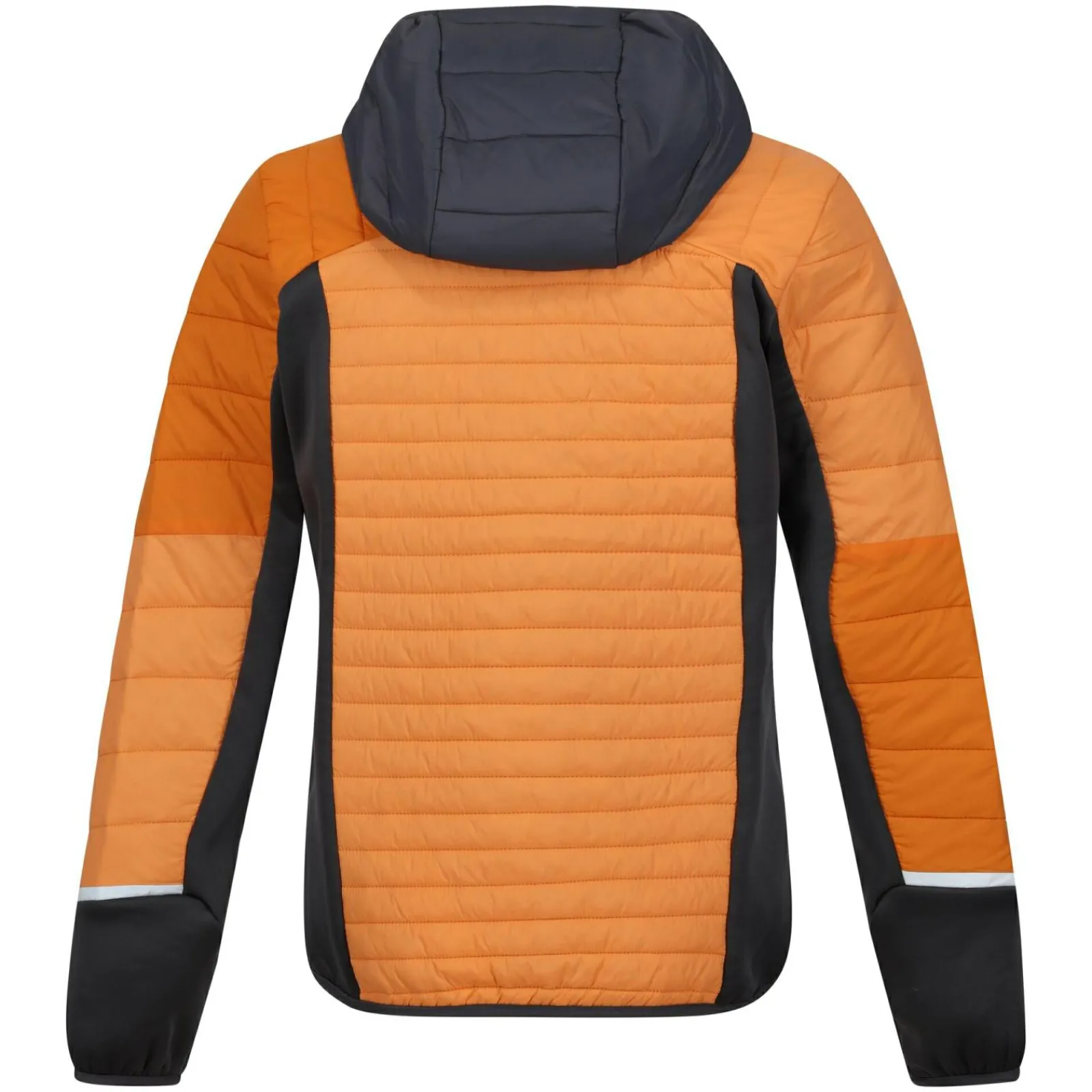 Regatta Trutton II Femme Veste baffled |<Femme Doudounes