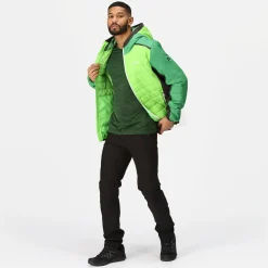 Regatta Trutton II Homme Veste baffled |<Homme Doudounes