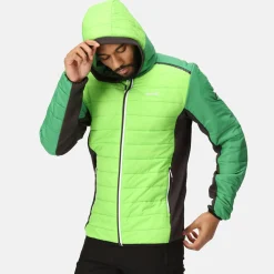 Regatta Trutton II Homme Veste baffled |<Homme Doudounes