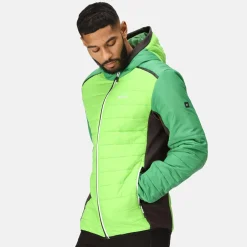 Regatta Trutton II Homme Veste baffled |<Homme Doudounes
