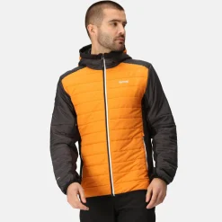 Regatta Trutton II Homme Veste baffled |<Homme Doudounes