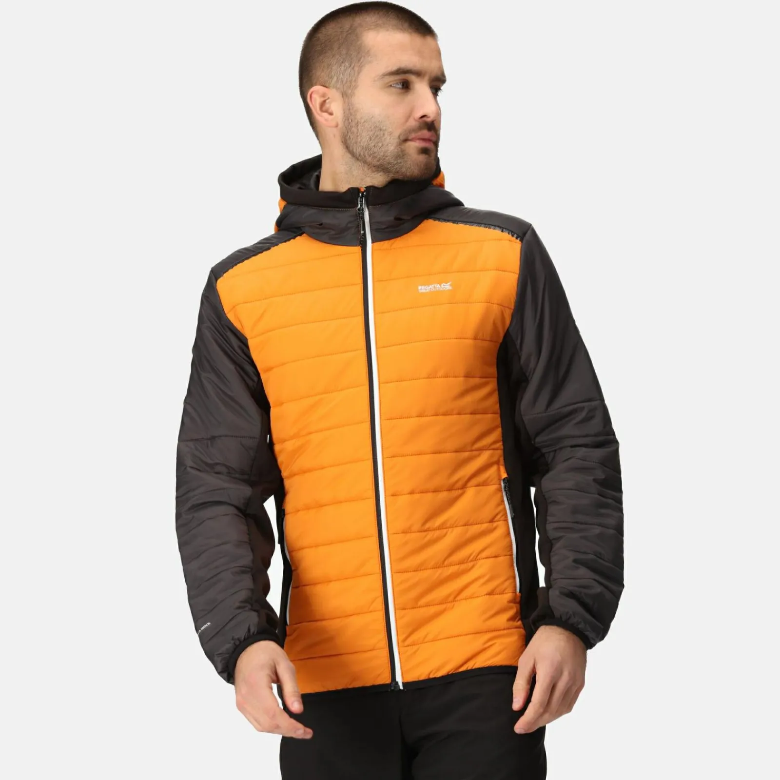 Regatta Trutton II Homme Veste baffled |<Homme Doudounes