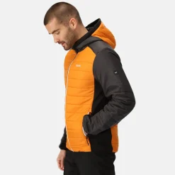 Regatta Trutton II Homme Veste baffled |<Homme Doudounes