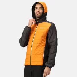 Regatta Trutton II Homme Veste baffled |<Homme Doudounes
