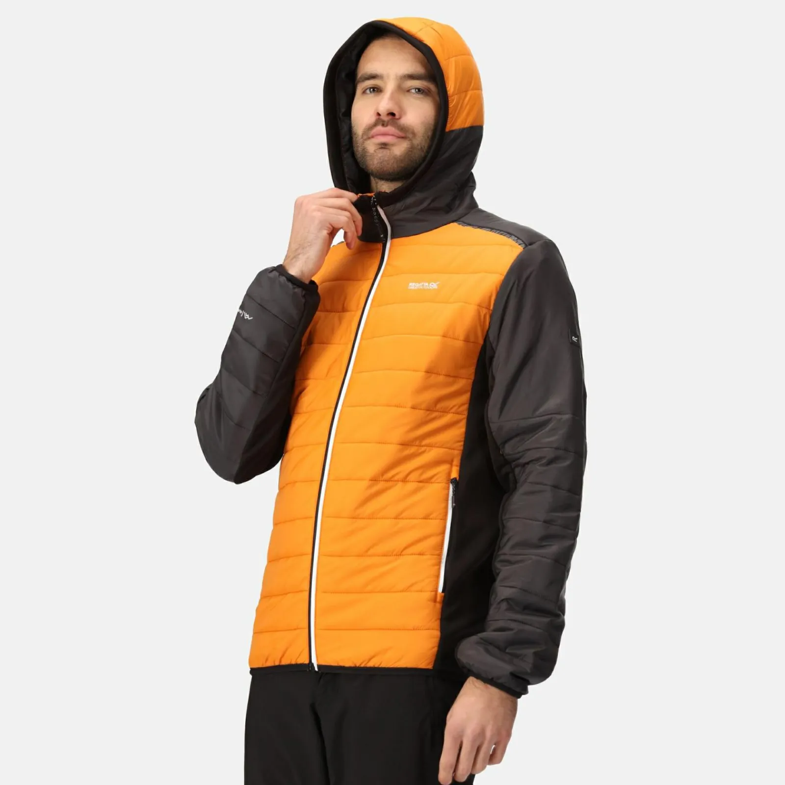 Regatta Trutton II Homme Veste baffled |<Homme Doudounes