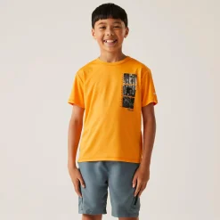 Regatta T-shirt Alvarado IX pour enfant |<Enfant T-Shirts