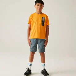 Regatta T-shirt Alvarado IX pour enfant |<Enfant T-Shirts
