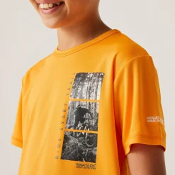 Regatta T-shirt Alvarado IX pour enfant |<Enfant T-Shirts