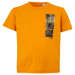 Regatta T-shirt Alvarado IX pour enfant |<Enfant T-Shirts