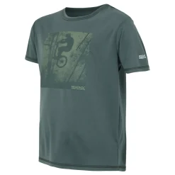 Regatta T-shirt Alvarado IX pour enfant |<Enfant T-Shirts