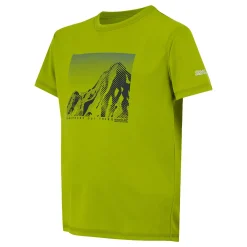 Regatta T-shirt Alvarado IX pour enfant |<Enfant T-Shirts