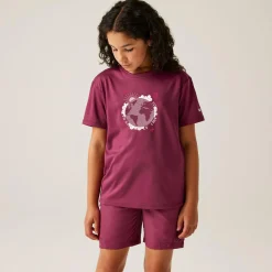 Regatta T-shirt Alvarado IX pour enfant |<Enfant T-Shirts