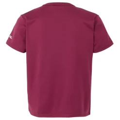 Regatta T-shirt Alvarado IX pour enfant |<Enfant T-Shirts