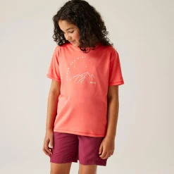 Regatta T-shirt Alvarado IX pour enfant |<Enfant T-Shirts
