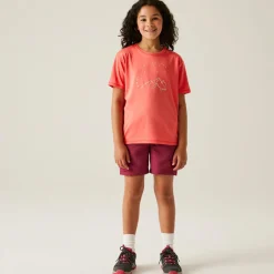 Regatta T-shirt Alvarado IX pour enfant |<Enfant T-Shirts