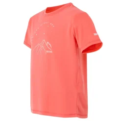 Regatta T-shirt Alvarado IX pour enfant |<Enfant T-Shirts