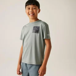 Regatta T-shirt Alvarado IX pour enfant |<Enfant T-Shirts