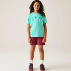 Regatta T-shirt Alvarado IX pour enfant |<Enfant T-Shirts