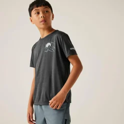 Regatta T-shirt Alvarado IX pour enfant |<Enfant T-Shirts