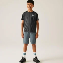 Regatta T-shirt Alvarado IX pour enfant |<Enfant T-Shirts